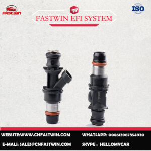 AUTO FUEL INJECTOR 17113698 FOR DELPHI
