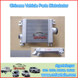 Gwm-Wingle-Steed-a5-car-Ecu 1119100-e03-2